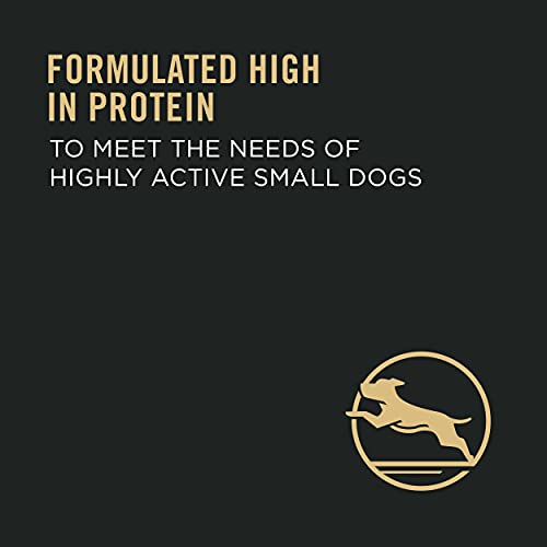 Purina Professional Plan Hen & Rice Formulation Excessive Protein Canine Meals for Small Breeds - 6 lb Bag