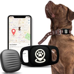 Good Canine Tracker with Collar Holder – Customized Pet Locator, MFi Licensed Monitoring Gadget, No Month-to-month Charges, Appropriate with Discover My (iOS Solely)