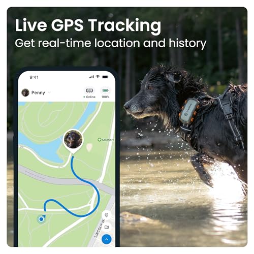 Tractive XL GPS Tracker & Well being Monitor for Canines (50 lbs+) - Prime-Rated Pet GPS Locator | Wellness and Escape Notifications | Waterproof Design | Suitable with Any Collar