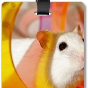 White Rat Pet Sport Toy Suitcase Bag Tag and Baggage Label