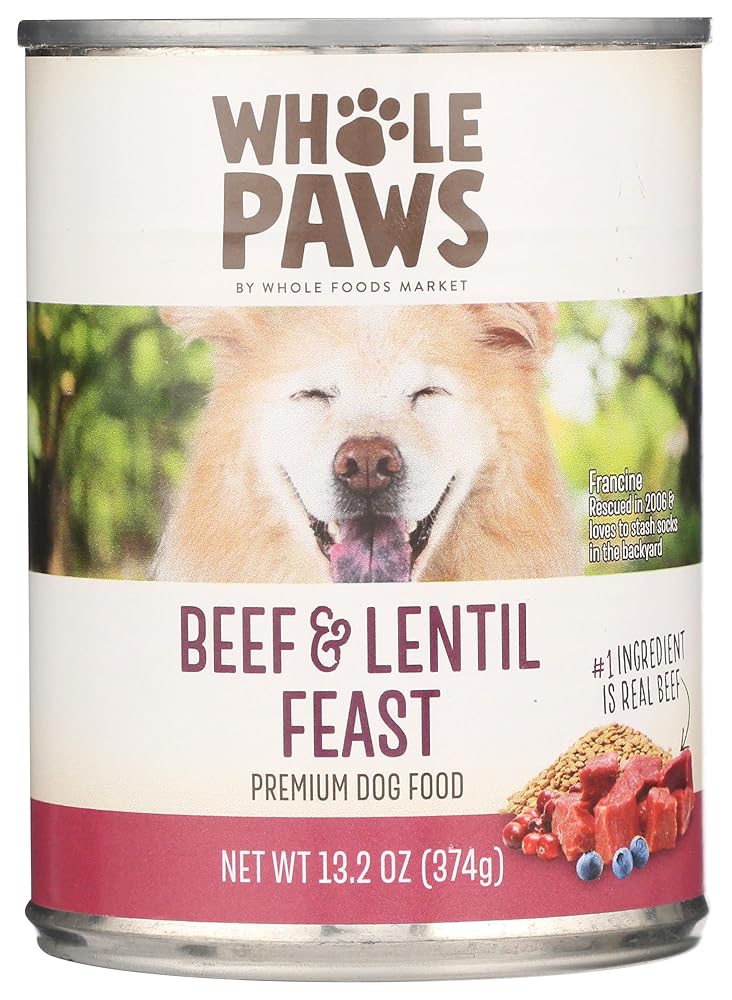 Entire Paws Beef & Lentil Feast Moist Canine Meals, 13.2 Ounces